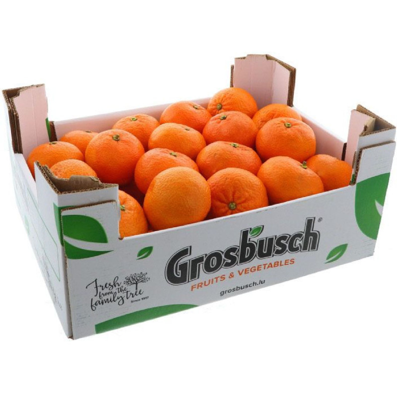 MANDARINE TACLE GROSBUSCH KG